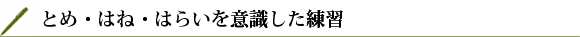 とめ・はね・はらいを意識した練習